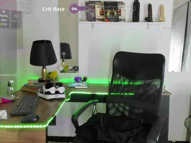 Sheetcouper webcam