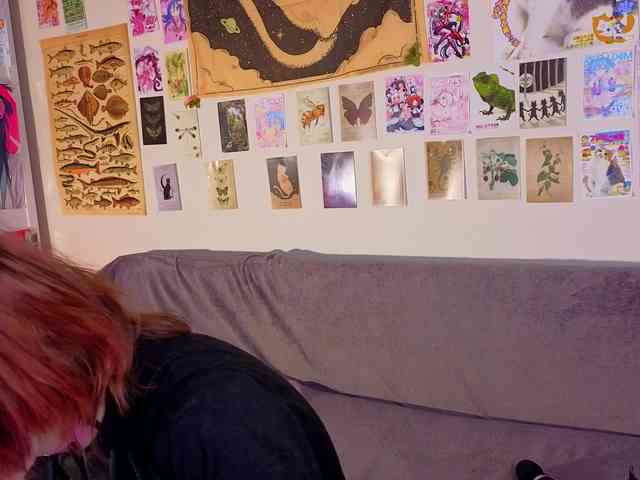 IleanaBurgher webcam