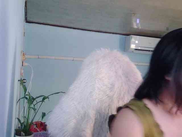 Sweetporn69 webcam