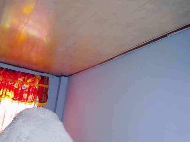 Sweetporn69 webcam