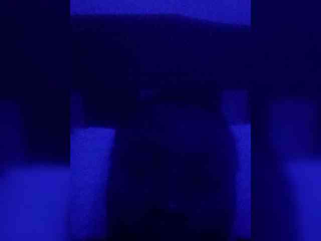 Thicknessbetty webcam