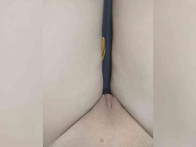 Molli311 webcam