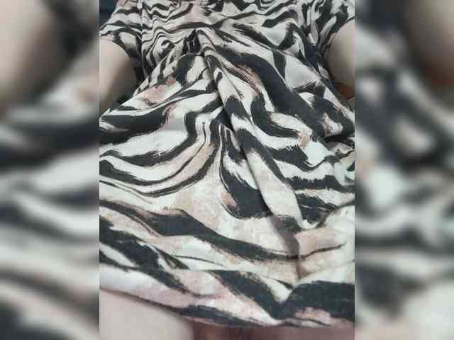 Molli311 webcam