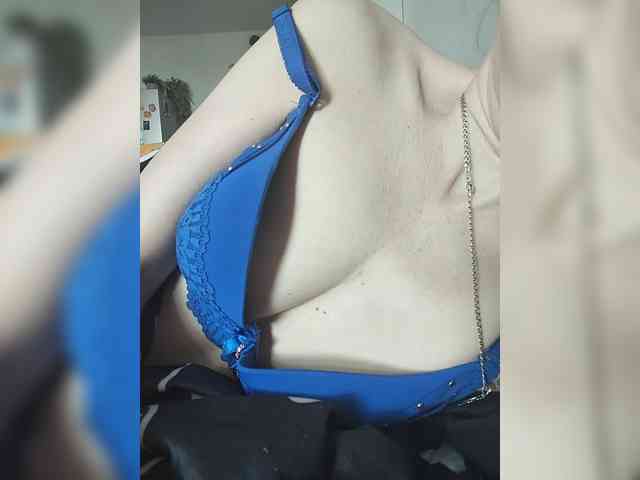 Molli311 webcam