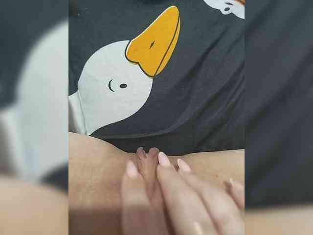 Molli311 webcam