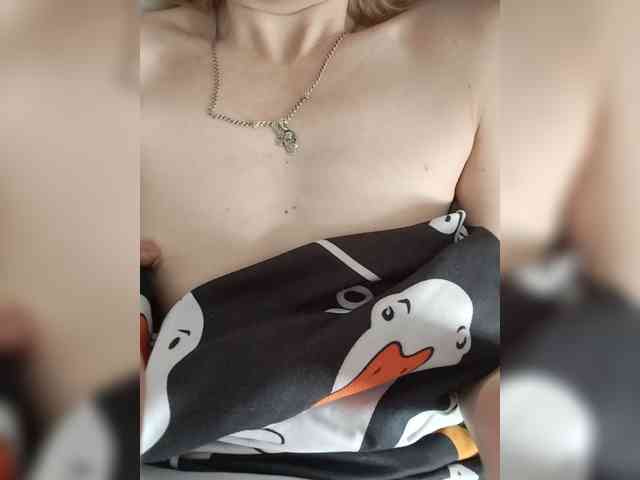 Molli311 webcam