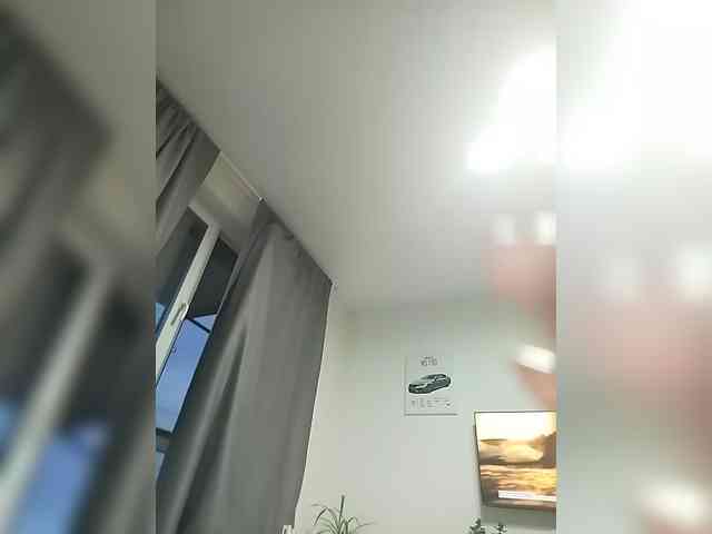 Molli311 webcam