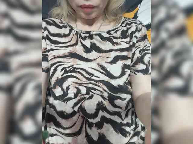 Molli311 webcam