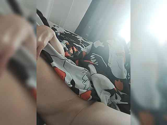 Molli311 webcam
