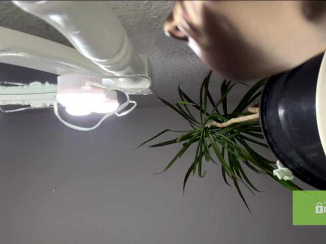 lisasmall live sex show