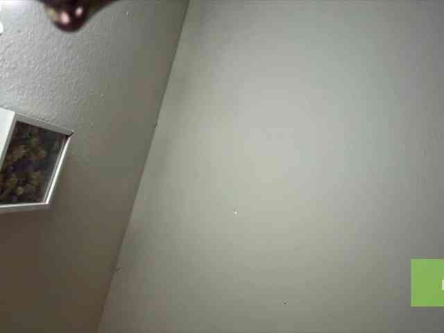 lisasmall webcam