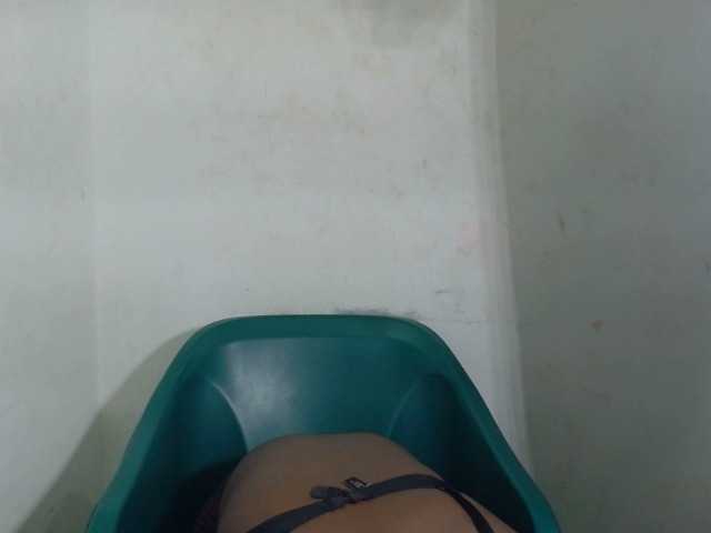 Wetxxpussy live cam on BongaCams