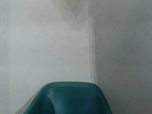 Wetxxpussy live cam on BongaCams