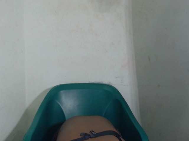 Wetxxpussy live cam on BongaCams
