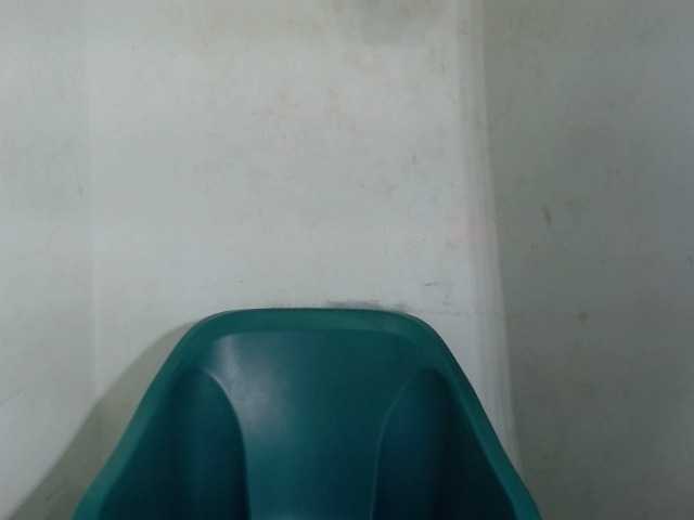 Wetxxpussy live cam on BongaCams
