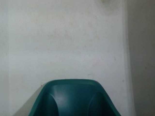 Wetxxpussy live cam on BongaCams