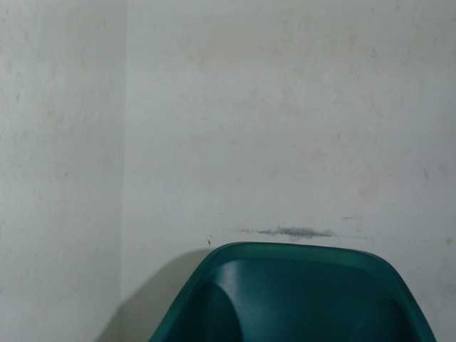 Wetxxpussy webcam