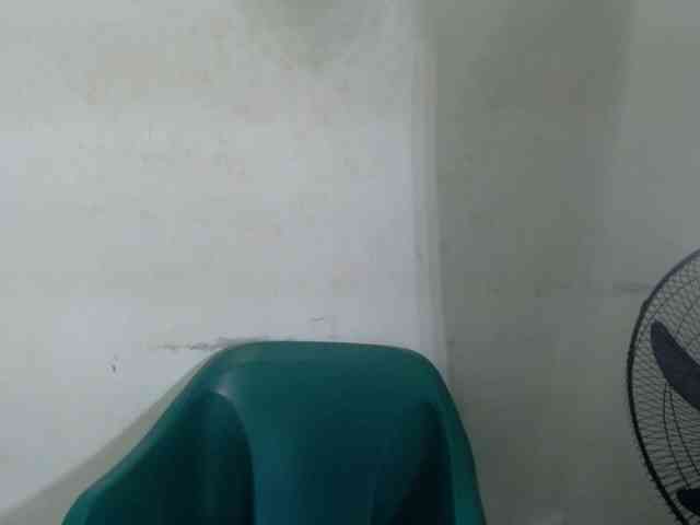 Wetxxpussy webcam