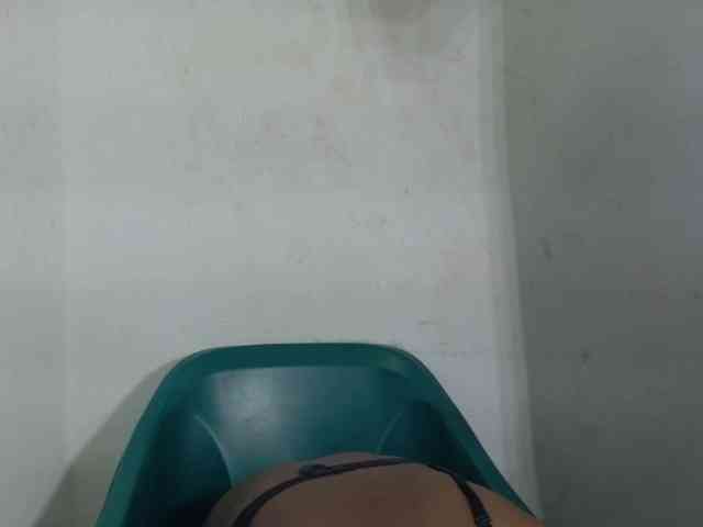 Wetxxpussy webcam