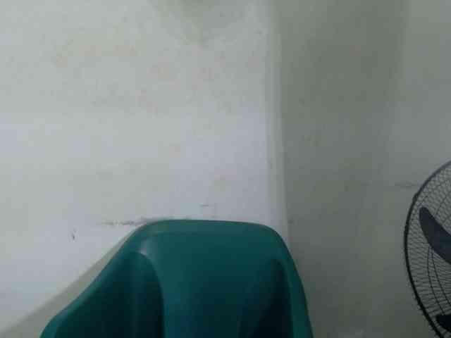 Wetxxpussy webcam