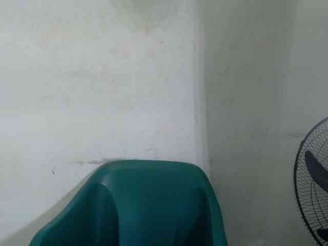 Wetxxpussy webcam