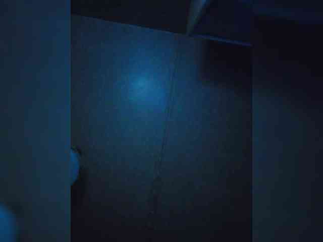Lesia-1 webcam