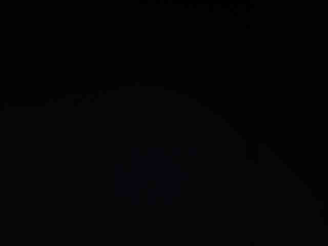 Lesia-1