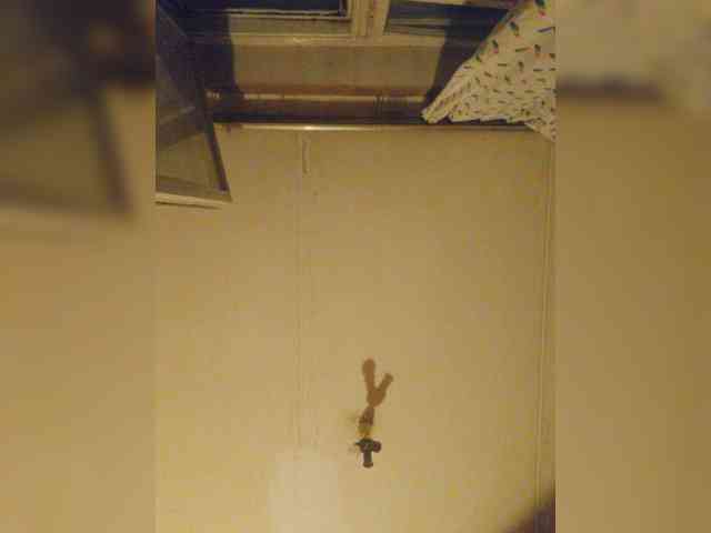Lesia-1 webcam