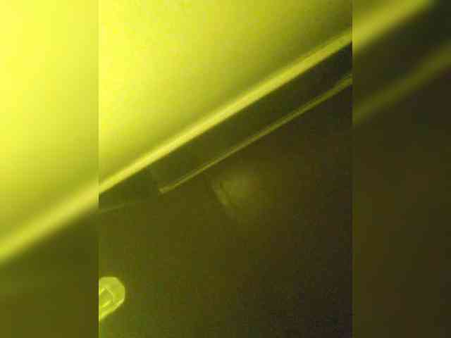 Lesia-1 webcam