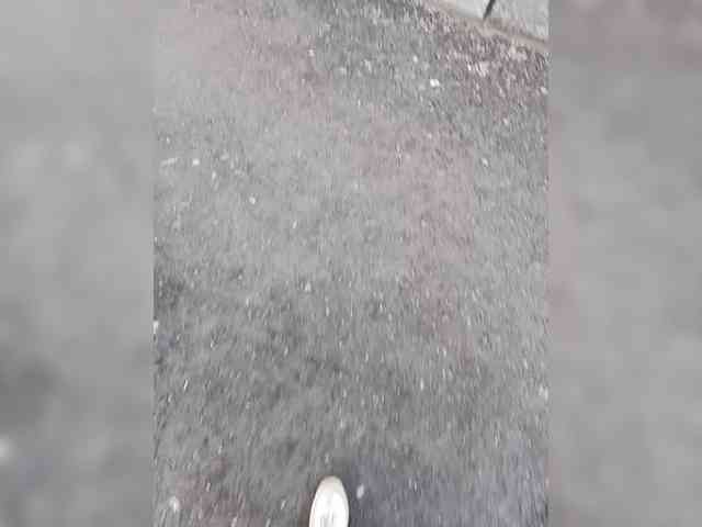 Lesia-1 webcam