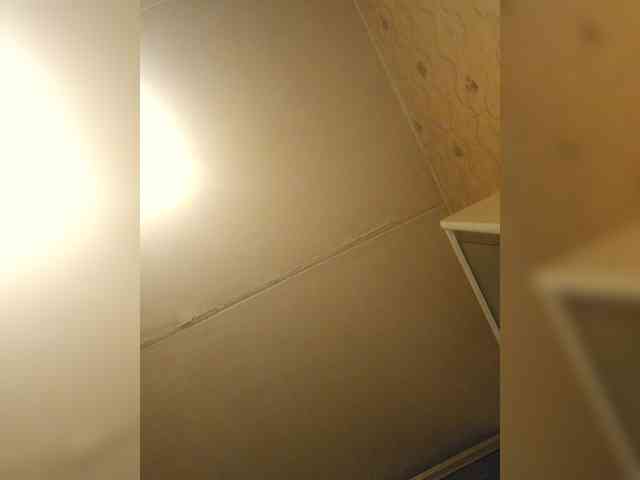 Lesia-1 webcam