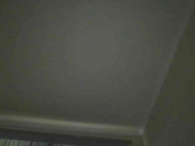 Alekzzeff