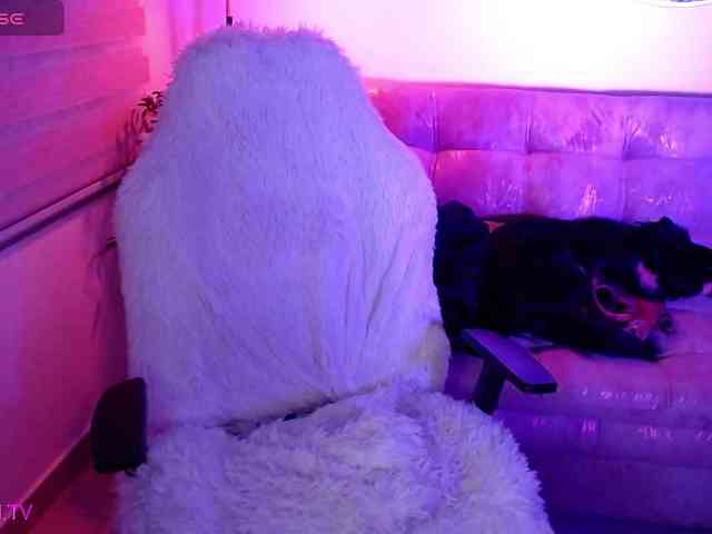 PERLAMOON1 webcam