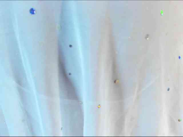 SharonNoa webcam