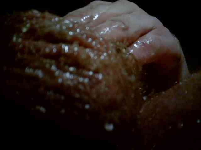 VoldeMar31 VoldeMar31