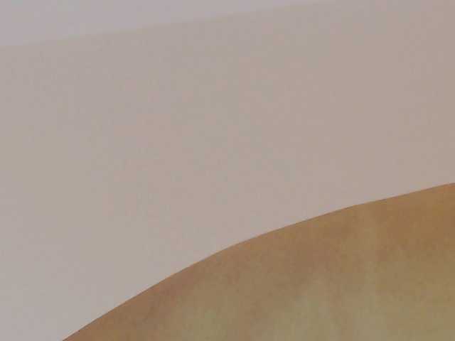 Ivywild live cam on BongaCams