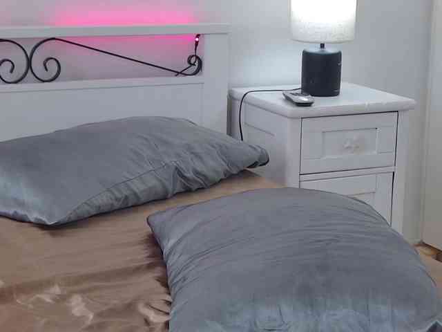 Ivywild webcam