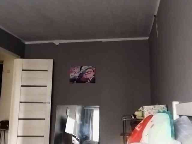 VidaKruiboesch webcam