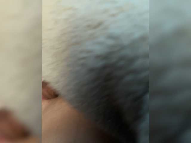 -SexyShmeks-