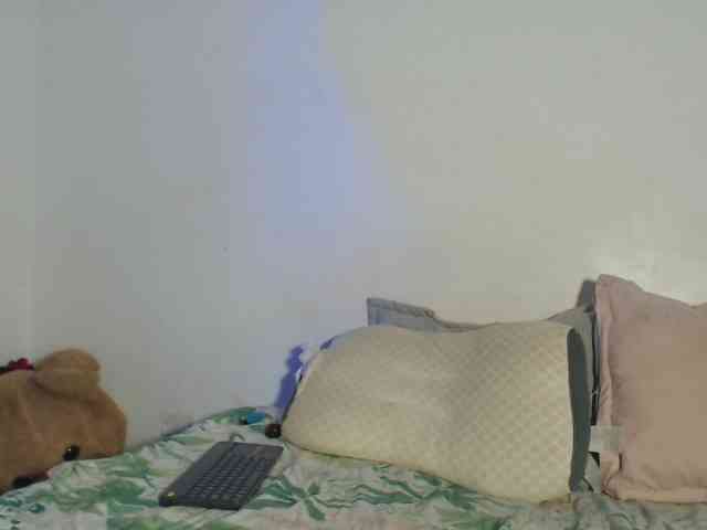 Skin2Skin webcam