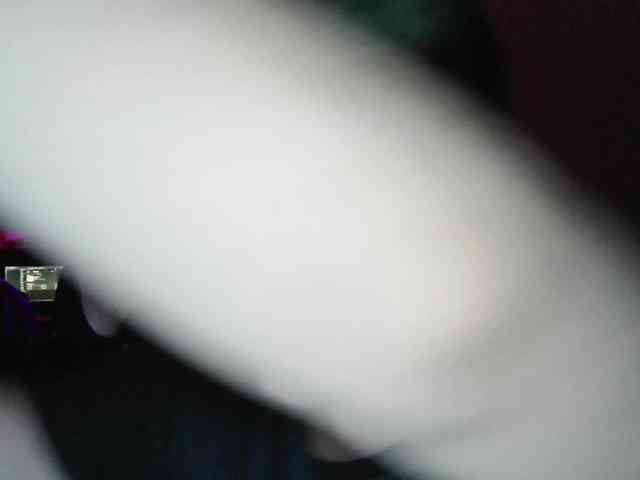 xXscolopendraXx webcam