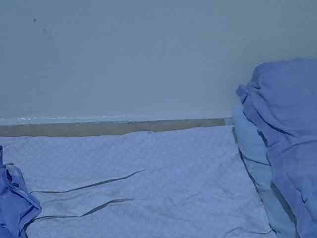 sweetelle webcam
