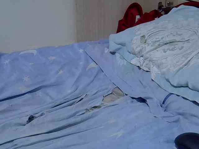sweetelle webcam