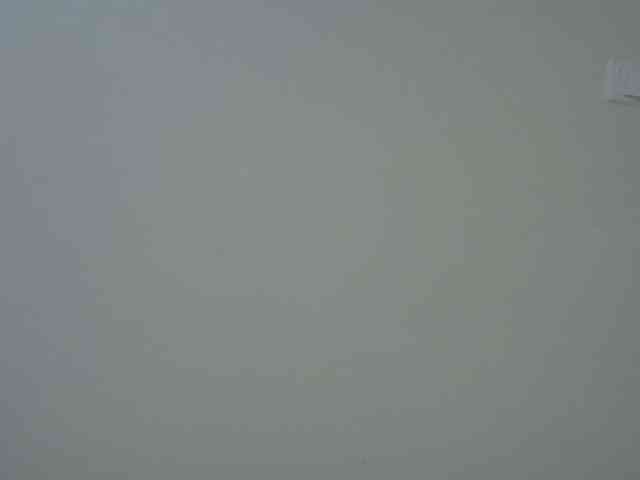 sweetelle webcam
