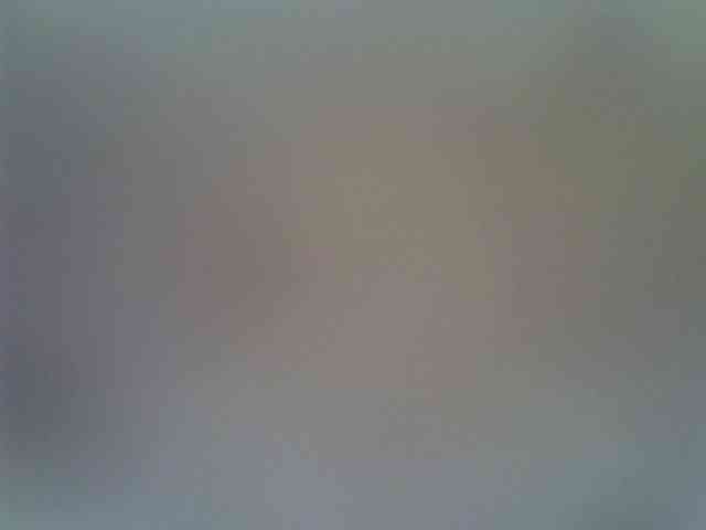 sweetelle webcam