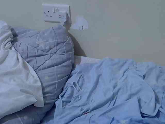 sweetelle webcam