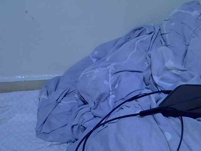 sweetelle webcam