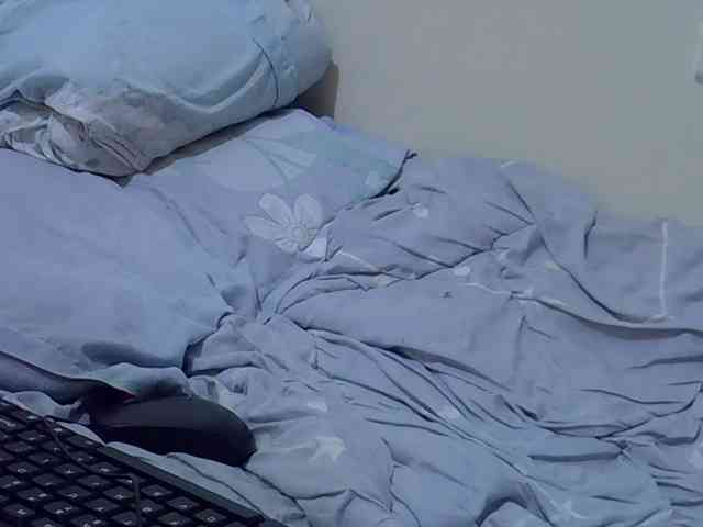 sweetelle webcam