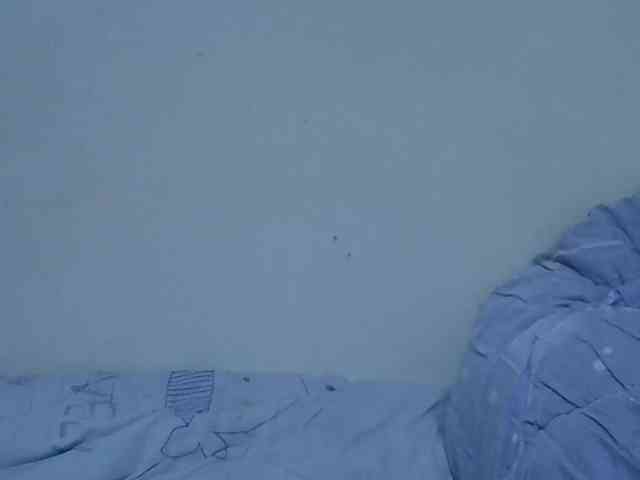 sweetelle webcam