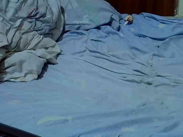 sweetelle webcam